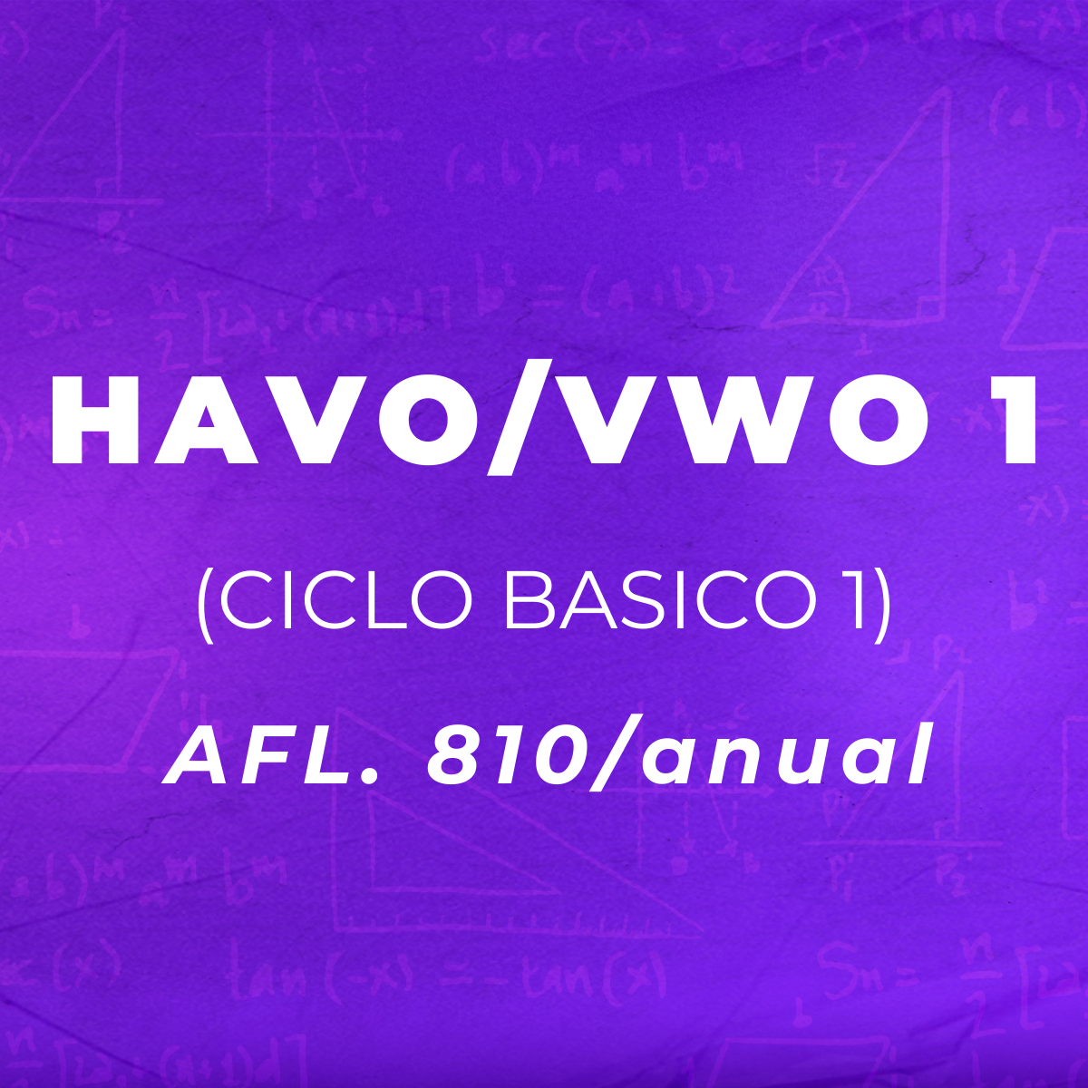 HAVO/VWO 1 - Abonnement pa un aña completo (Ciclo Basico 1)