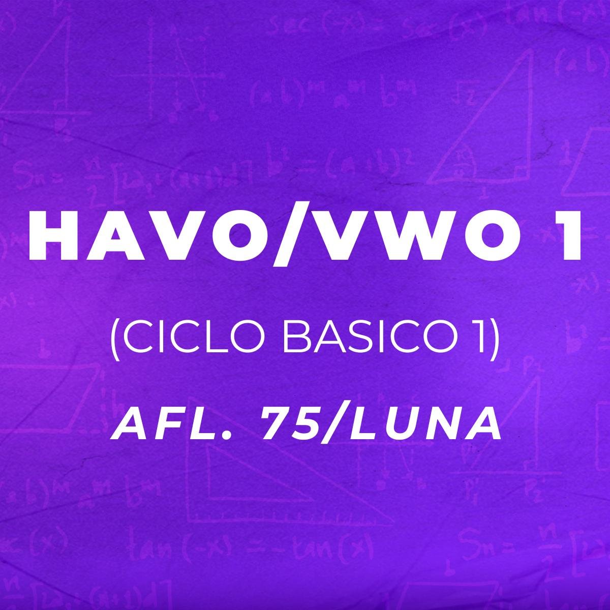 HAVO/VWO 1 - Abbonement pa luna (Ciclo Basico 1)