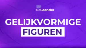 04-gelijkvormige-figuren