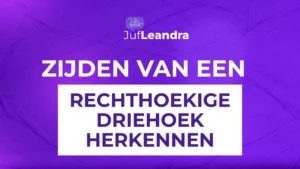 05-zijden-van-een-rechthoekige-driehoek-herkennen